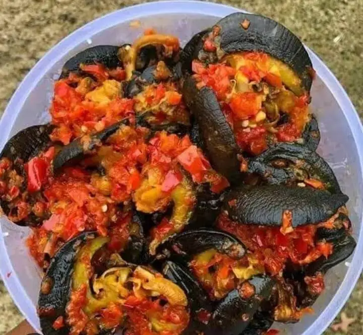 Peppered snail